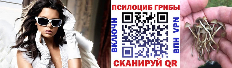 Галлюциногенные грибы GOLDEN TEACHER  shop наркотические препараты  Южно-Сухокумск 